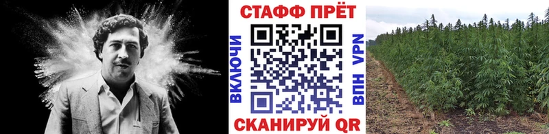 Псилоцибиновые грибы Верея