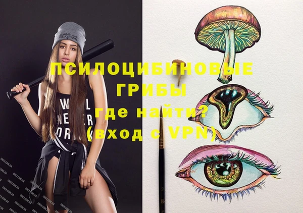 хмурый Сосновый Бор