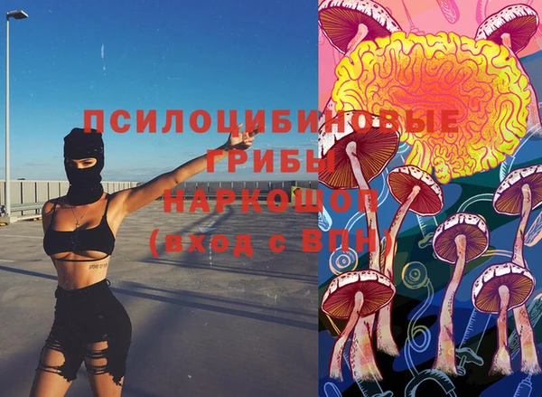 гидропоника Сосновка