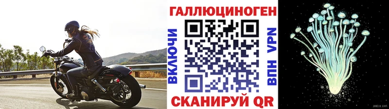 Галлюциногенные грибы мухоморы Верея