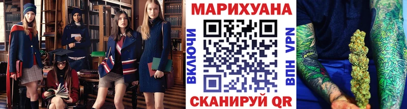 Каннабис гибрид  Верея 